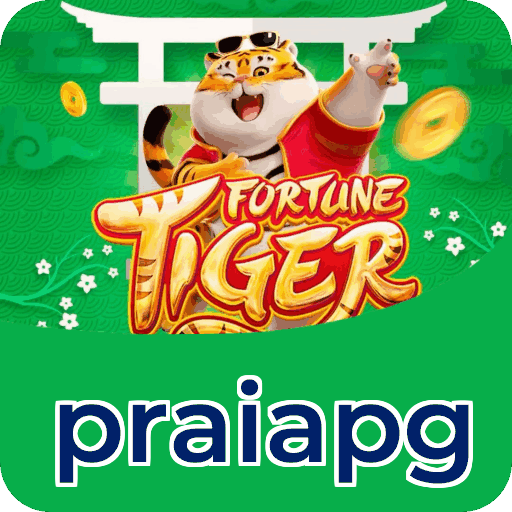 Performance praiapg